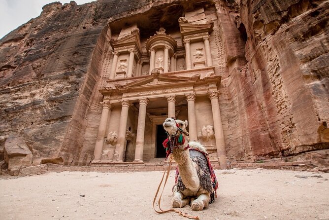 02 Days Petra , Wadi Rum and Dead Sea from Amman - Wadi Rum Village on Day 2: A Short Stop That Helps You Land the Journey