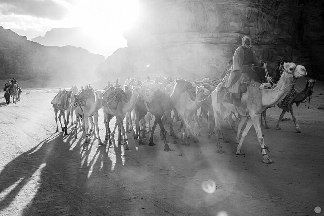 02 Days Petra , Wadi Rum and Dead Sea from Amman - Dead Sea Region: Floating Time, Salt, and a Very Strange Mood