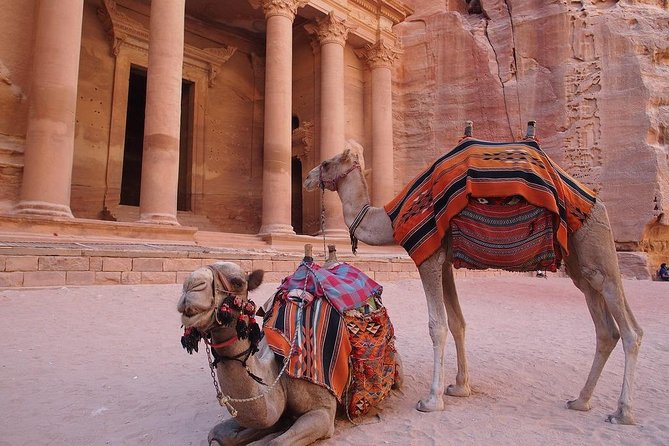 2 Day 1 Night Wadi Rum (Overnight) & Petra Shore Excursion - Key highlights you’ll feel right away