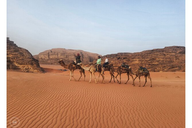 2-Day Jordan Guided Tour Petra, Wadi Rum and Dead Sea - Price and value: is $295 a fair deal for this packed 2-day plan?