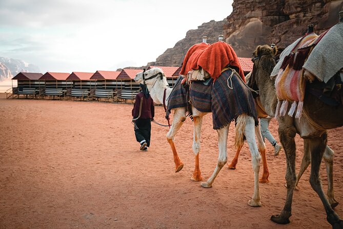 2-Day Jordan Guided Tour Petra, Wadi Rum and Dead Sea - 7am pickup and Petra through the Siq: what your guided time really buys you