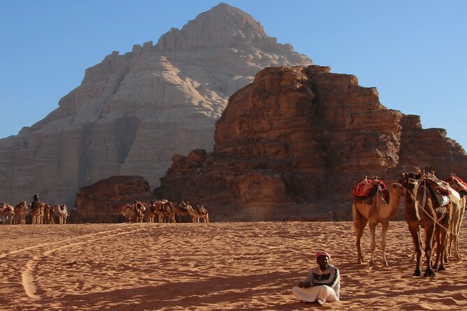 2-Day Private Tour in Jordan - Deluxe Tent - How the A/C Transfers From Amman Keep You From Burning Time