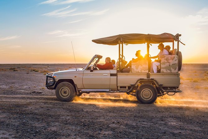 2-Day Private Tours in Jordan: Petra, Wadi Rum, and Dead Sea from Amman - Dead Sea at Earth’s Lowest Point: Salt-Time and No-Fish Reality