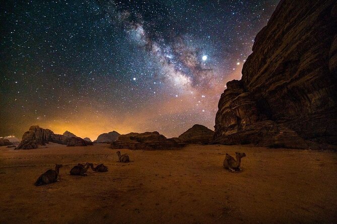 2-Day Tour to Petra, Wadi Rum, Wadi Mujib, Aqaba, and Dead Sea - Who this 2-day Petra and Wadi Rum route fits best