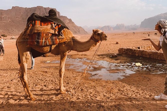 2 Hour Jeep Tour - Wadi Rum Desert & Canyon - Stop by stop: Nabatean Temple and Wadi Rum Protected Area