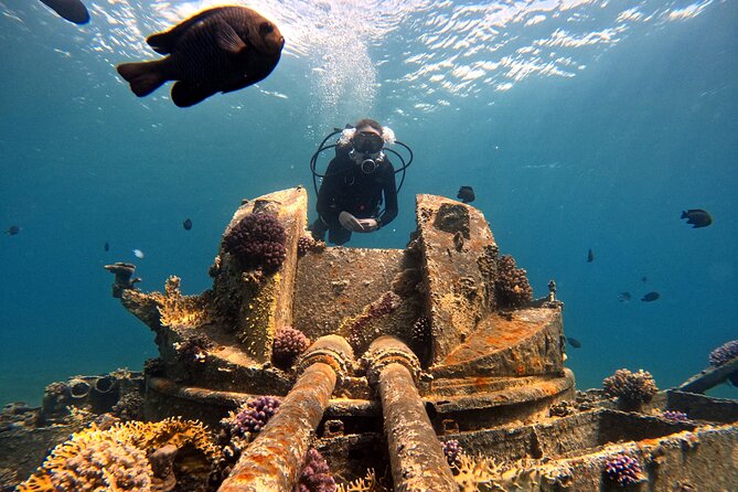2-Hour Private Scuba Experience in Aqaba - Gear handoff and the briefing that reduces stress