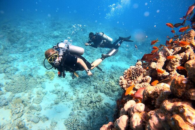2-Hour Private Scuba Experience in Aqaba - Photo and video: getting memories you did not have to chase