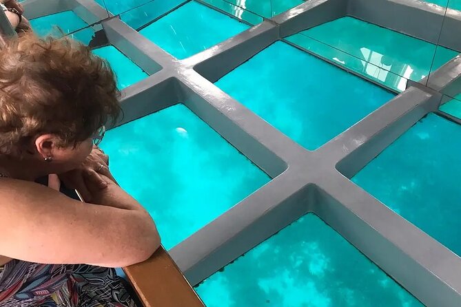 2 To 5 Hours Glass Bottom Boat Private Tour At Read Sea - Quick hits for your glass-bottom boat day