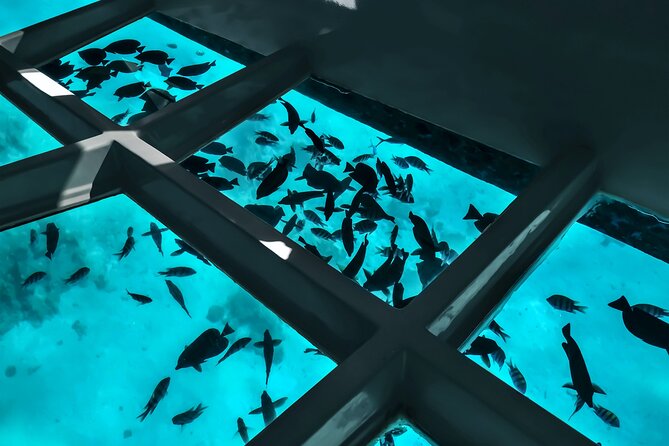 2 To 5 Hours Glass Bottom Boat Private Tour At Read Sea - How the 2 to 5 hour timing changes what you’ll actually get
