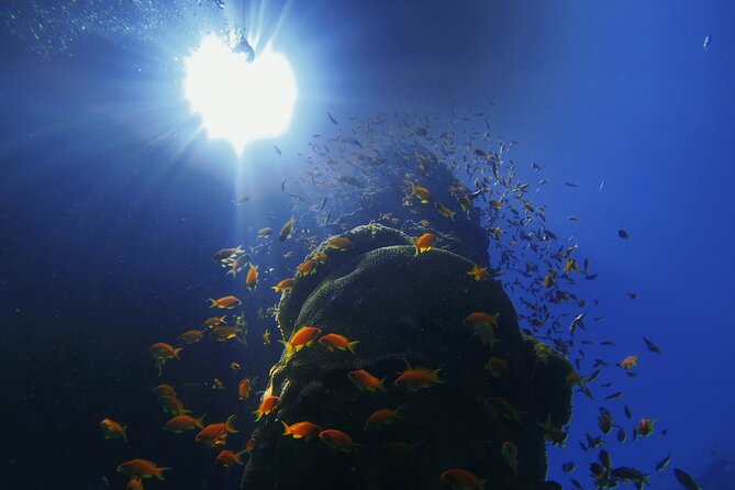 3-Day Open Water Scuba Diving Course in Aqaba - Gear hygiene, maintenance, and what that means for your comfort