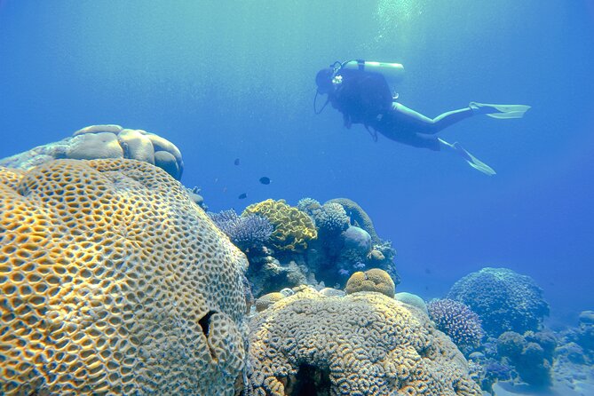 3-Day Open Water Scuba Diving Course in Aqaba - Instructors who teach, not just supervise