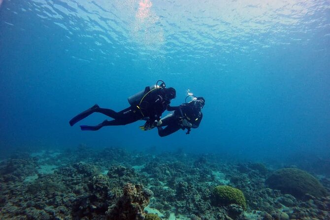 3-Day Open Water Scuba Diving Course in Aqaba - Price and value: what $500 actually buys you