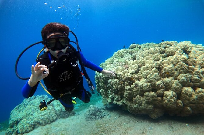 3-Day Open Water Scuba Diving Course in Aqaba - Confined water practice: where calm control is the goal