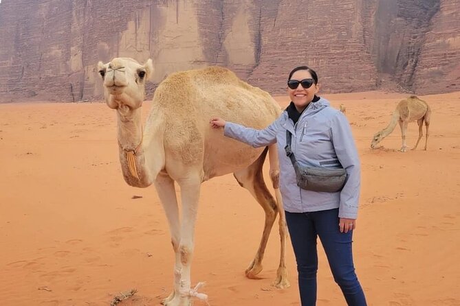 3-Day Tour from Amman: Jerash, Ajloun, Petra, Wadi Rum & Dead SEA - What to Do in Wadi Rum When You Want Maximum Value