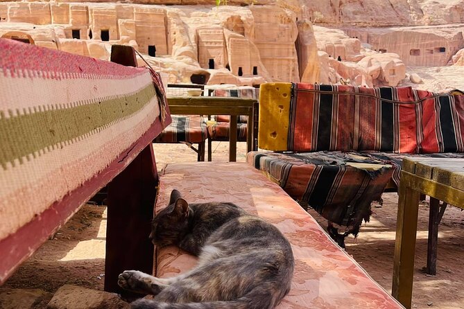 3 Epic Nights in South Jordan exploring with the locals. - Day 4 Return to Petra: One More Breakfast, Then Back to Wadi Musa
