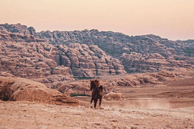3 Hour Horse Riding Adventure around the Petra Area - FAQ