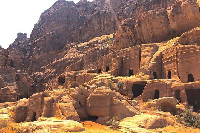 3Days Tour Petra & Wadi Rum from Amman, Dead Sea OR Amman Airport - Why This Petra and Wadi Rum From Amman Works