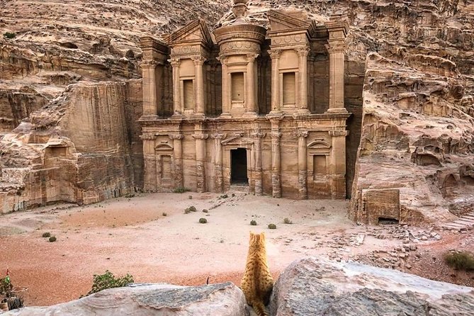 3Days Tour Petra & Wadi Rum from Amman, Dead Sea OR Amman Airport - Best Fit: Who Should Book This Petra and Wadi Rum Tour
