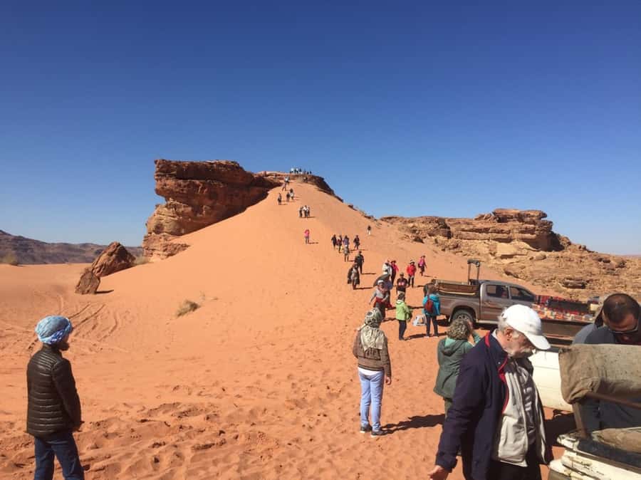 4Hour Jeep Tour (Morning or Sunset) Wadi Rum Desert Highligh - Price and value: is $48 fair for 4 hours in Wadi Rum?