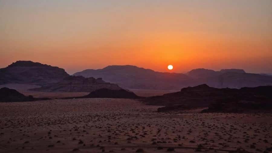 4Hour Jeep Tour (Morning or Sunset) Wadi Rum Desert Highligh - The meeting point in Wadi Rum Village, Coffee Shop and Odeh
