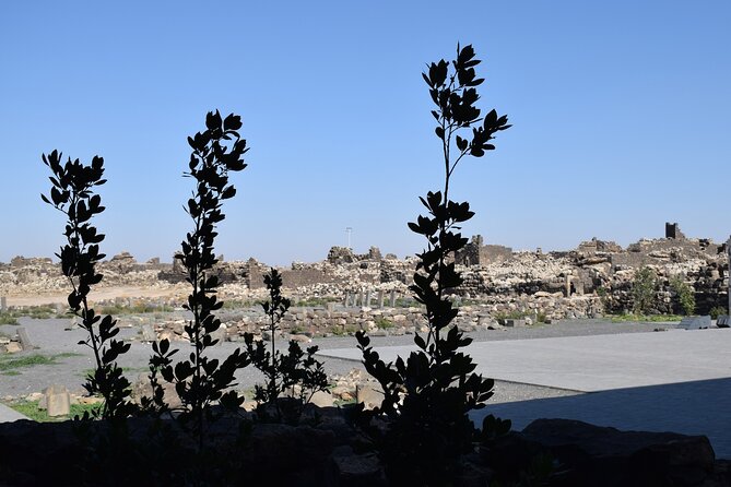 5-Desert Castles of Jordan Full-Day Private Tour from Amman - Timing That Works: How the Day Stays Manageable