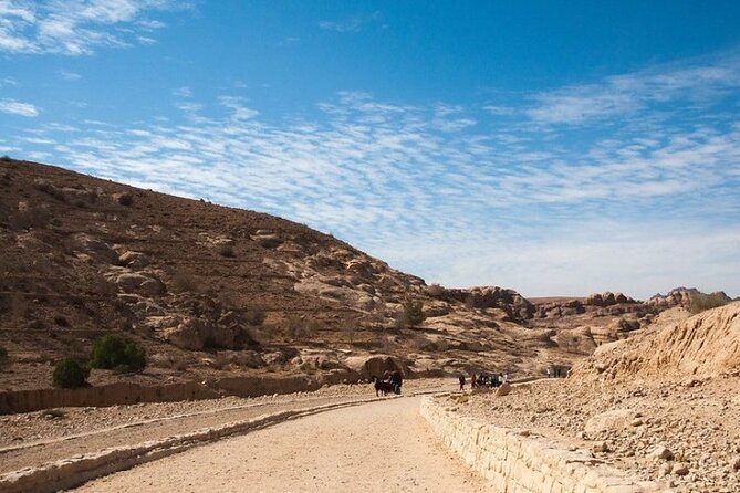 6-Day Private Guided Tour to Discover the Jordan Jewels - Day 2 in Amman and Jerash: Museums, the Citadel, and Roman Streets on Foot