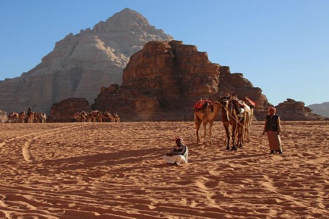 6-Days 5-Night: Jordan in Brief Tour - Petra before the crowds: the Siq, the Treasury, and the Street of Facades