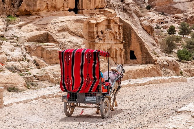 6-Days 5-Night: Jordan in Brief Tour - Riding back to Amman: closing the loop with a calm transfer