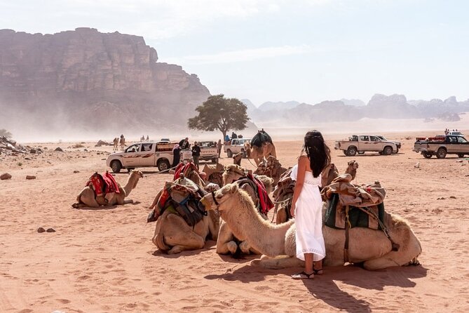 7-Day Super Luxury Tour By Toyota Land Cruiser - Day 4: Dead Sea leisure day, swim, relax, and reset