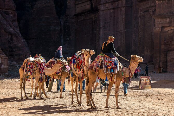 7 Days Jordan Sightseeing Tour - Key things you will feel on this trip