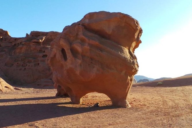 8-Day Private Tour, Jordan's Ability - Customizable - Petra Day: Siq to the Treasury, Then Keep Going
