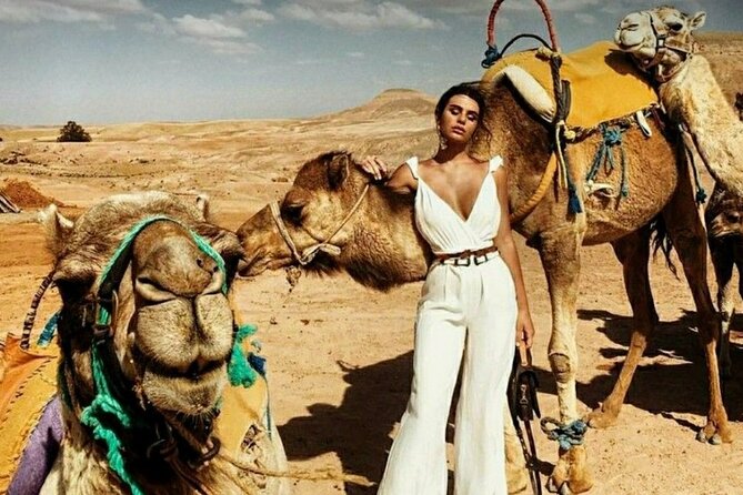 8-Day Private Tour, Jordan's flavor - Dead Sea region overnight and a real salt day