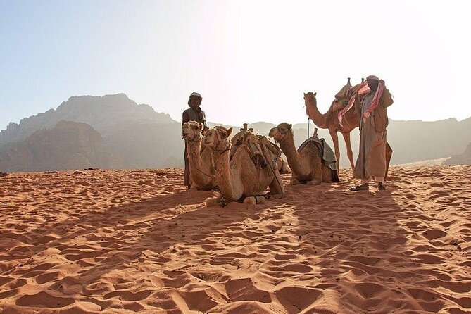 8 Days Jordan Tour: Petra, Wadi Rum, Aqaba - Day 5 Wadi Rum ridge hike plus White Desert stops