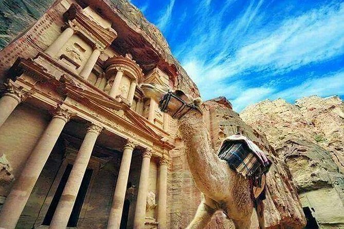 A Full Day Trip To Petra From Amman - The drive to Petra: what the vehicle experience changes