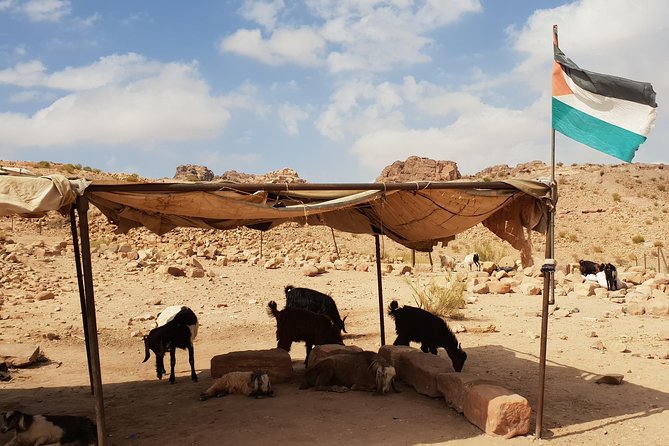 Amman and Aqaba airport lift to Petra and Wadi Rum - A smooth airport lift into the Petra and Wadi Rum region