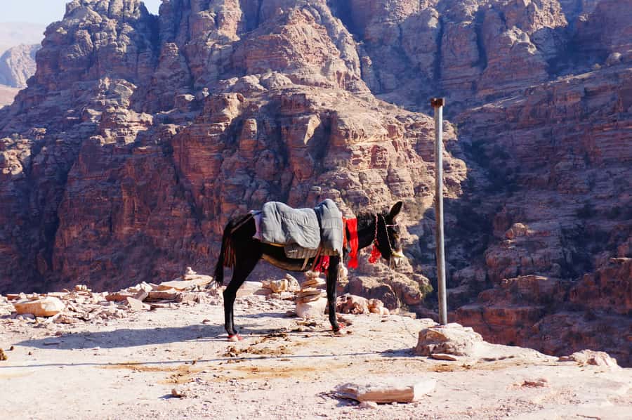 Amman King's Way Day Tour To Petra - The King’s Way, a practical Amman-to-Petra plan that keeps you moving