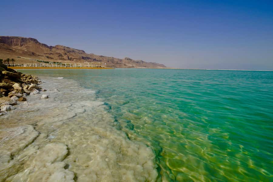 Amman: Ma'in Hot Springs and Dead Sea Day Trip - The Real Flow From Amman: What Happens in Each Block