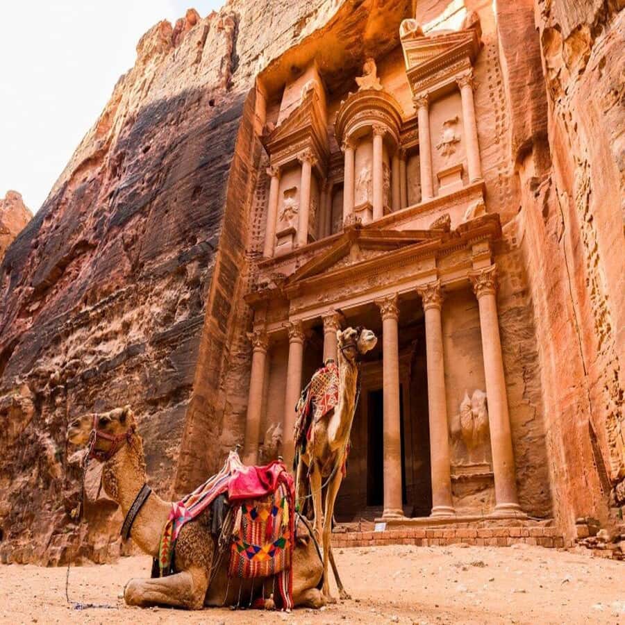 Amman Private Tour Petra Wadi Rum And Dead Sea 2day Bubble - Wadi Rum Bubble Camp: What Overnight Really Means Here