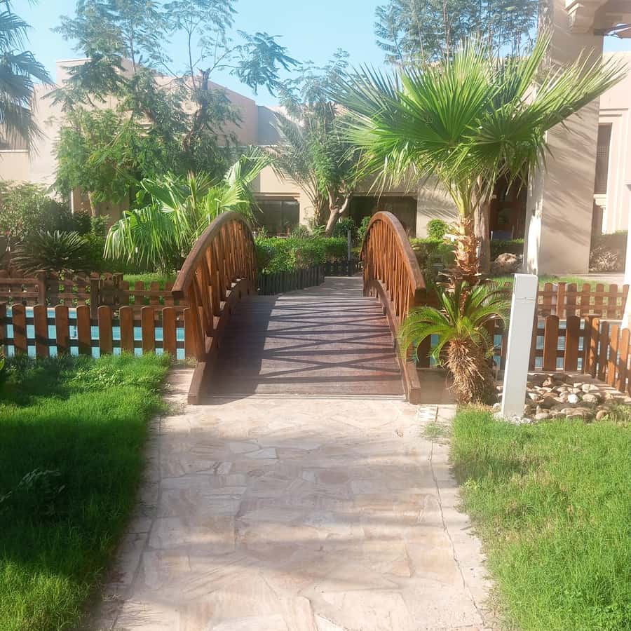 Amman: To Ma'daba -Mount Nebo-Baptism site-Dead sea Day Trip - Timing, Transfers, and Staying Sane in a One-Day Schedule
