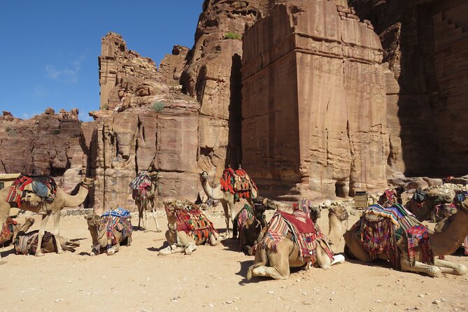 Amman to Petra round trip - Petra Time, Your Pace: From Siq to the Treasury