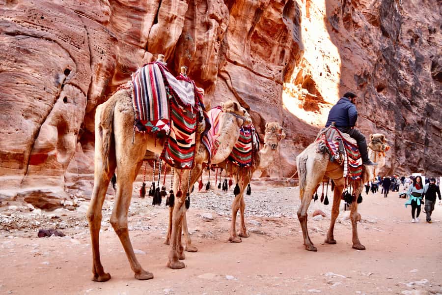 Amman to Petra Wadi Rum Dead Sea 2 or 3 Days Private Tour - Day 2 at a relaxed pace: sunrise camel ride, then Dead Sea mud and hotel day use