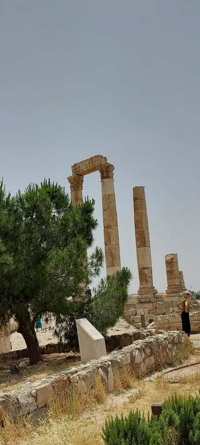 Amman Tour - Jordan Museum timing and what 30 minutes buys you