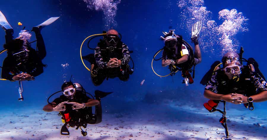 Aqaba Dive Adventure: Explore The Red Sea On A Tour - Key Things You’ll Notice Right Away