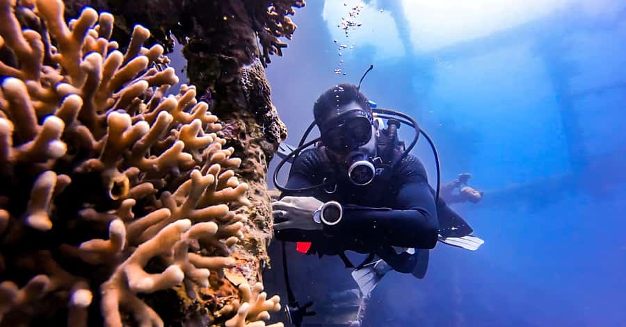 Aqaba Dive Adventure: Explore The Red Sea On A Tour - Aqaba Red Sea in 2 Hours, South Beach to Wrecks
