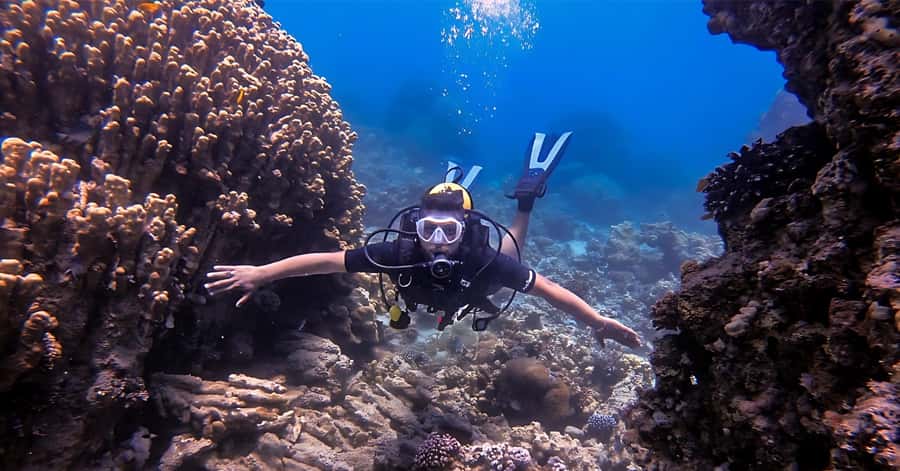 Aqaba Dive Adventure: Explore The Red Sea On A Tour - The 20-Minute Safety Briefing and Gear Setup