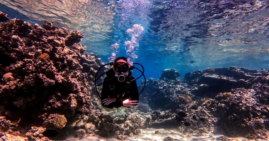 Aqaba Dive Adventure: Explore The Red Sea On A Tour - Learning Underwater Signals and Breathing Comfortably