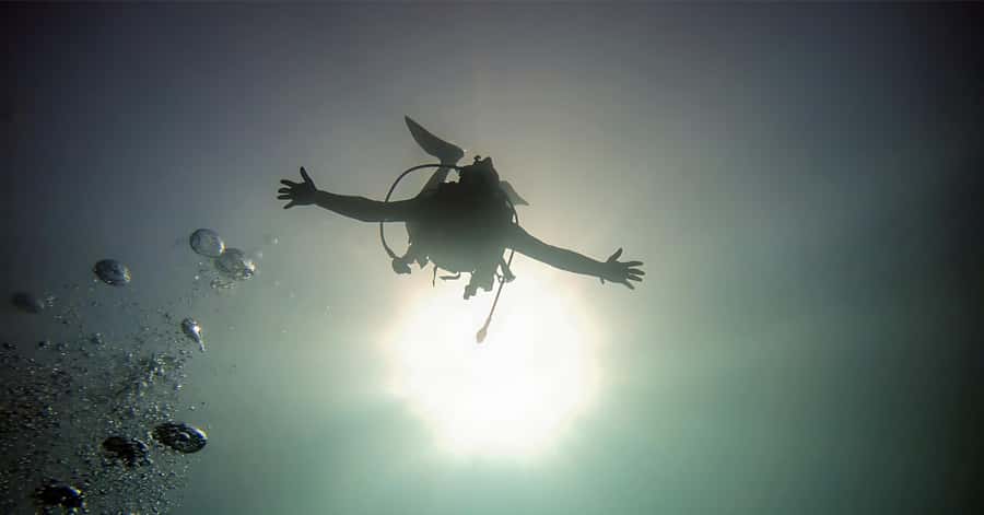 Aqaba Dive Adventure: Explore The Red Sea On A Tour - Meeting at Baghdad St. 24 and Getting Ready Before You Go In