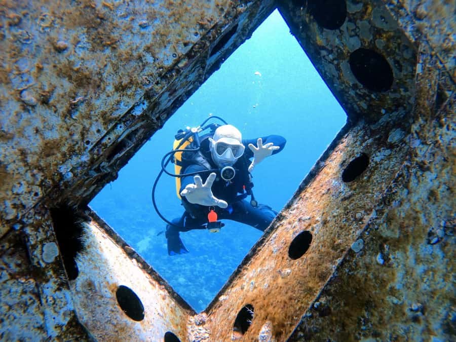 Aqaba: Private Red Sea Diving for Beginner or Experienced - Key things you’ll notice in this Aqaba Red Sea scuba session