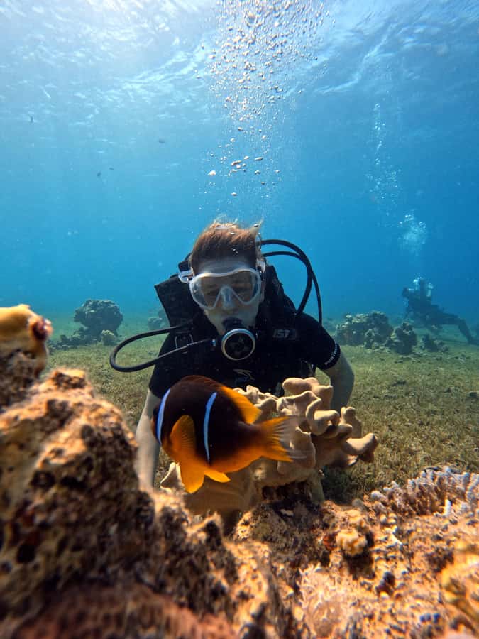 Aqaba: Private Red Sea Diving for Beginner or Experienced - Photo and video: why this tour is good value beyond the water