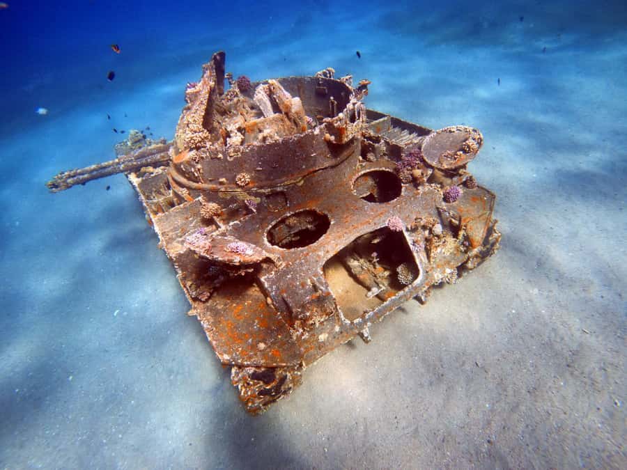 Aqaba: Private Red Sea Diving for Beginner or Experienced - Where you’ll meet and how you’ll get there without confusion